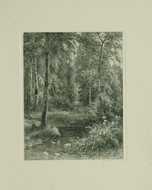 Лист № 8. В Дубровке. 1873 