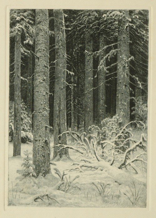 Лист № 26. Дремучий лес. 1885 