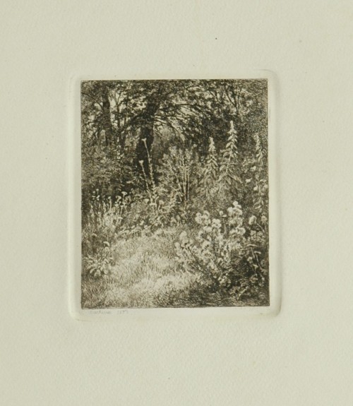 Лист № 3. Лесные цветы. 1873 