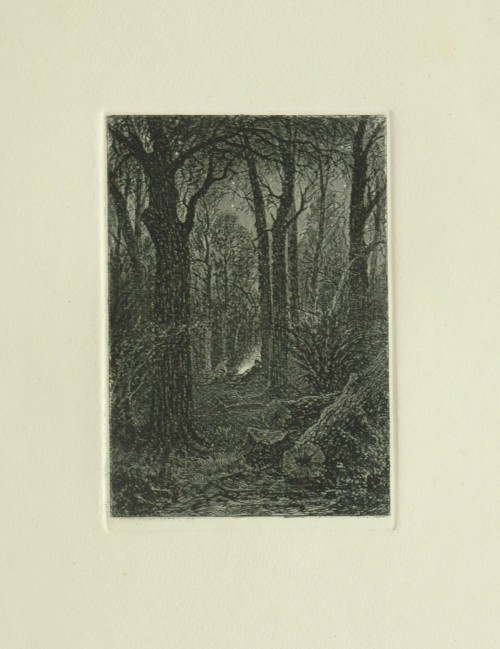 Лист № 5. На порубке. 1873 