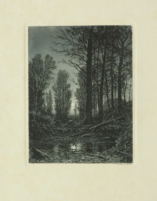 Лист № 11. Зорька. 1876
