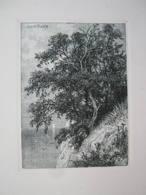 Лист № 13. Скала над морем. 1877 