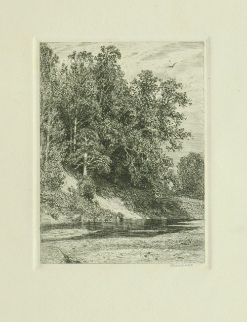 Лист № 15. Лес на крутом берегу. 1877 