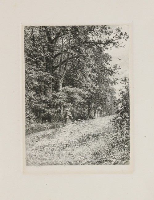 Лист № 16. На лесной меже. 1878 