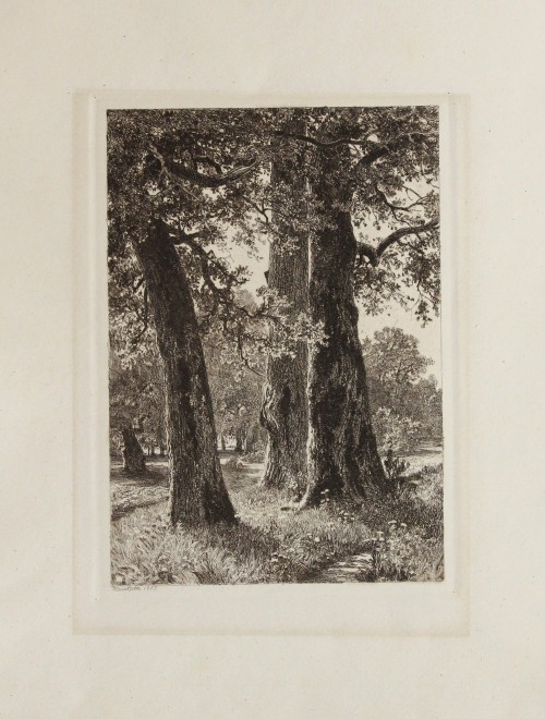 Лист № 33. Три дуба. 1887 