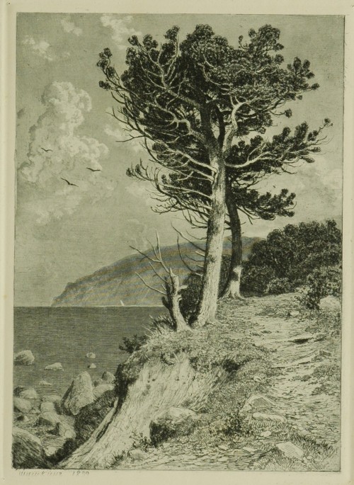 Лист № 37. Аю-даг. 1892 