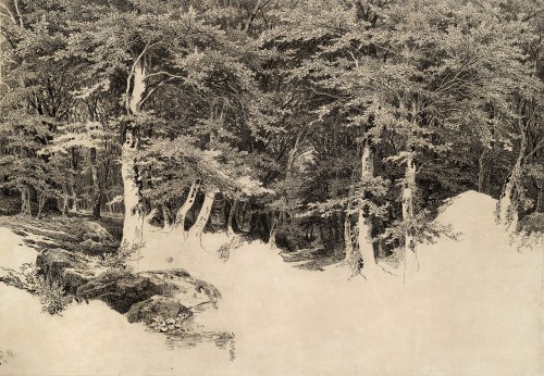 Шишкин И. И. В лесу. 1860 – е  