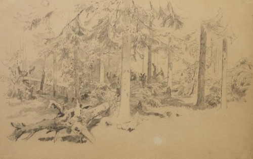 Шишкин Иван Иванович. 1832 – 1898 Поваленное дерево 
